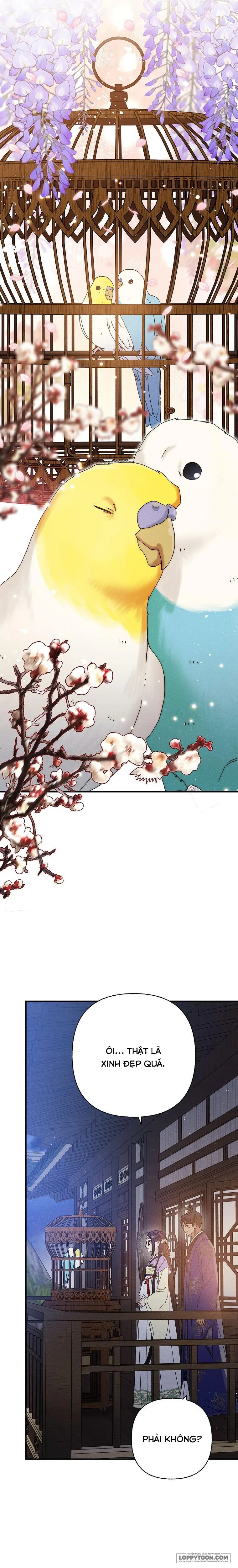 Quốc Hôn Chap 55 - trang 13