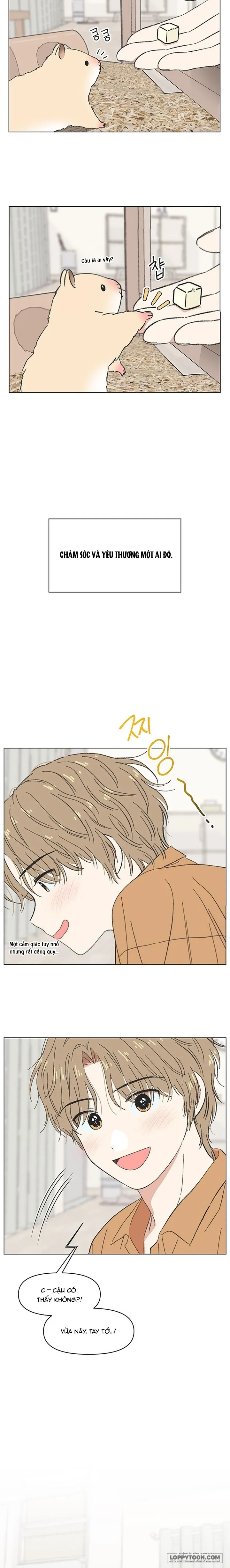 Thanh Xuân Ngọt Ngào Chap 60 - trang 4