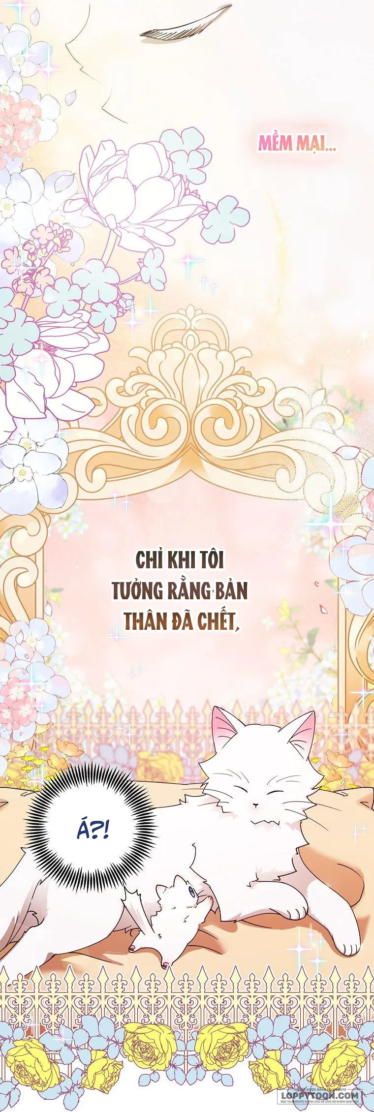 Trở Thành Miêu Nữ Của Hoàng Đế Chap 2 - trang 10