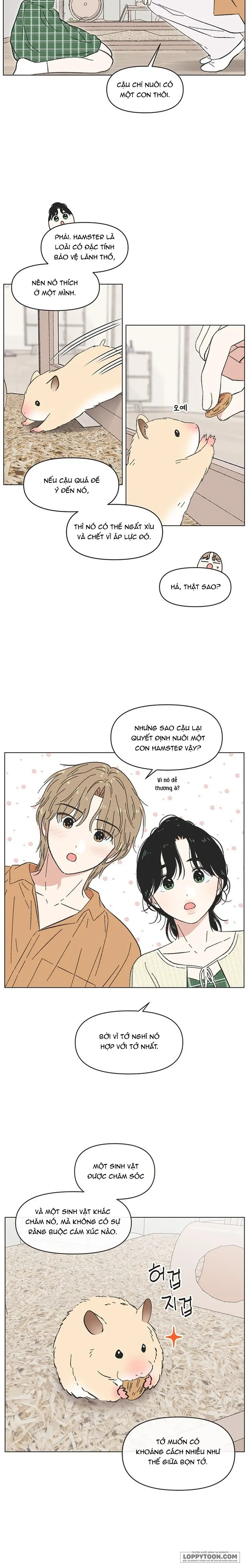 Thanh Xuân Ngọt Ngào Chap 60 - trang 2