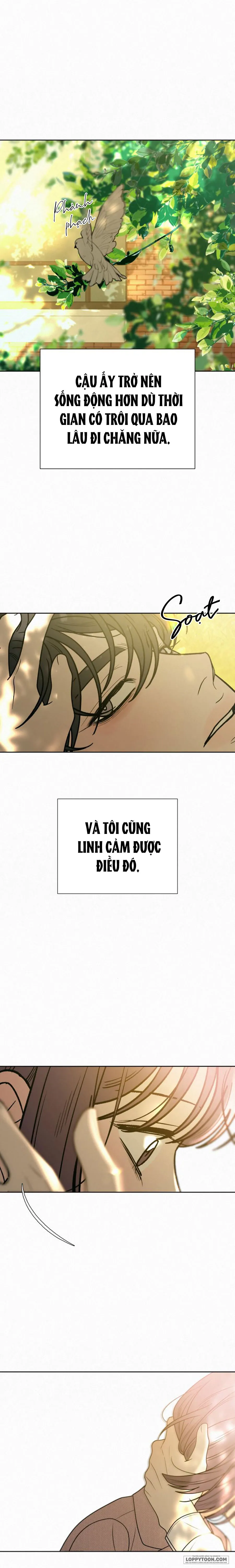 Chiến Lược Tình Yêu Trong Sáng Chap 82 - trang 17