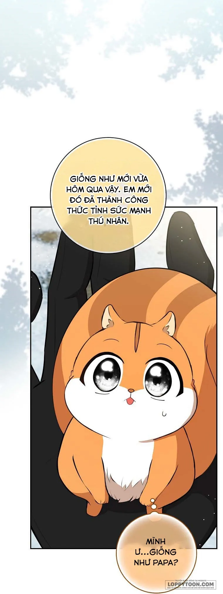 Sóc Con Tài Năng Chap 62 - trang 33