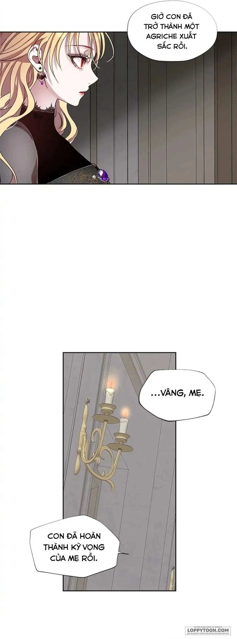 Roxana: Phương Pháp Bảo Vệ Anh Trai Của Nữ Chính Chap 5 - trang 15