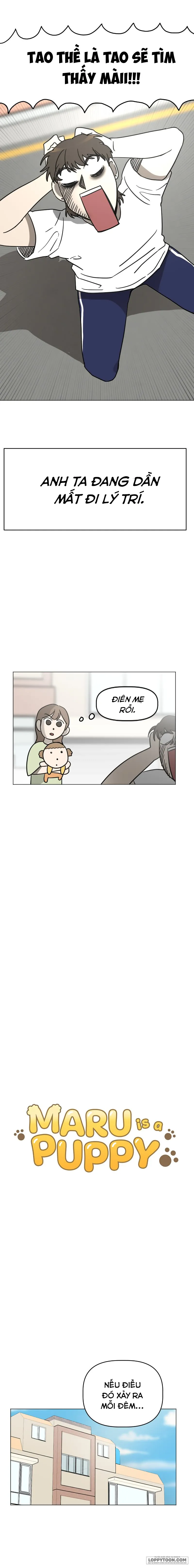 Maru là cún cưng của tôi Chap 5 - trang 4