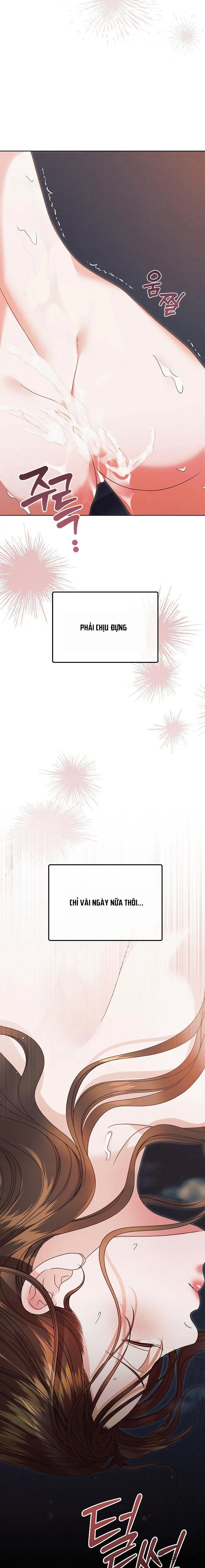 Hãy Cầu Xin Tôi Đi Chap 41 - 🔞🔞 - trang 6