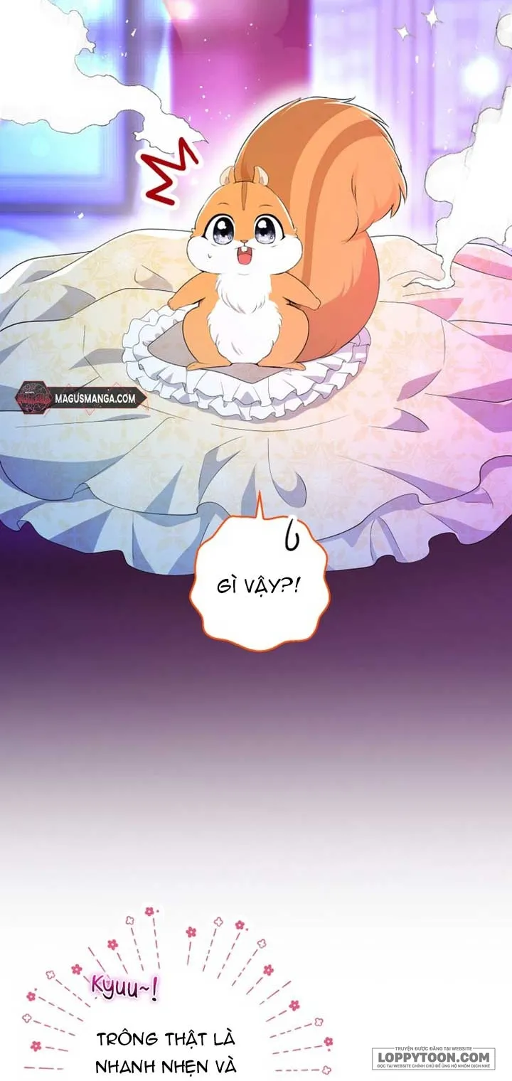 Sóc Con Tài Năng Chap 74 - trang 15