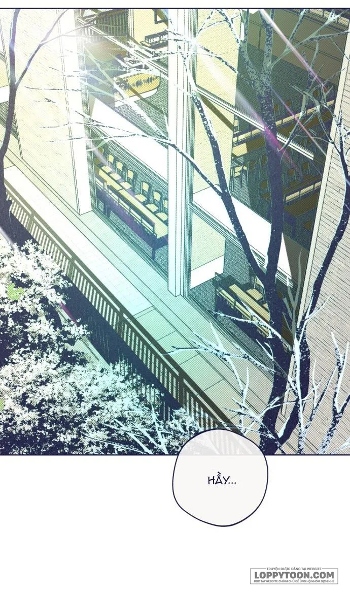 Trắc Nghiệm 4 Lựa Chọn Chap 37 - trang 39