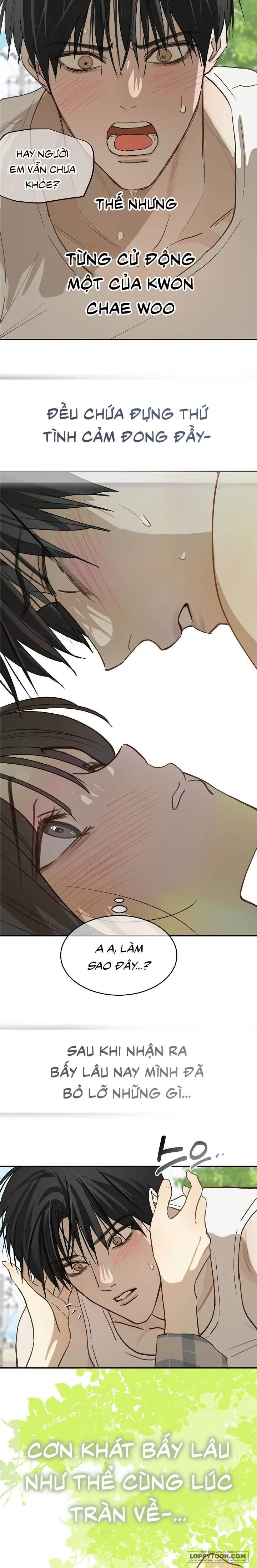 Đóa Hoa Là Mồi Nhử Chap 54 - trang 4