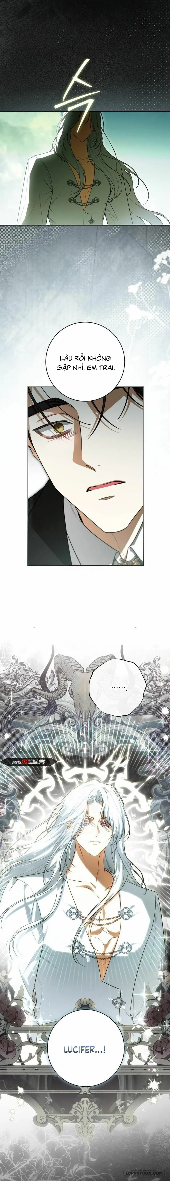 Hình Như Tôi Đã Xuyên Vào Cuốn Tiểu Thuyết Nào Đó Chap 96 - trang 5