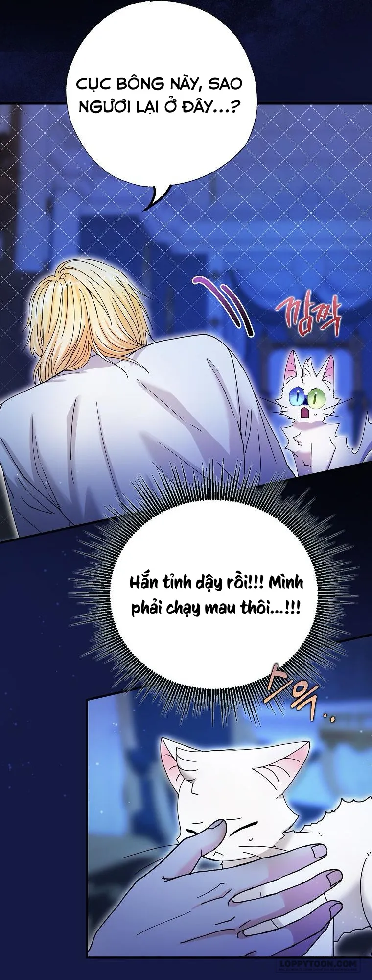 Trở Thành Miêu Nữ Của Hoàng Đế Chap 6 - trang 11
