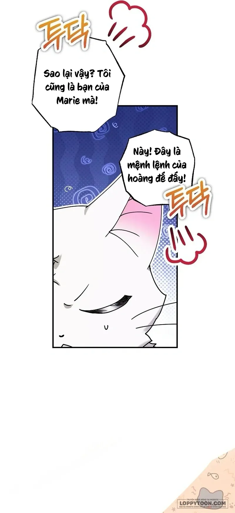 Trở Thành Miêu Nữ Của Hoàng Đế Chap 39 - trang 17
