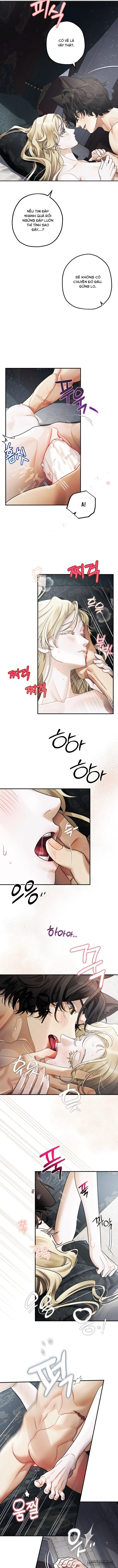 Quái Thú Ở Dinh Thự Albard Chap 18 - 🔞🔞🔞🔞 - trang 11