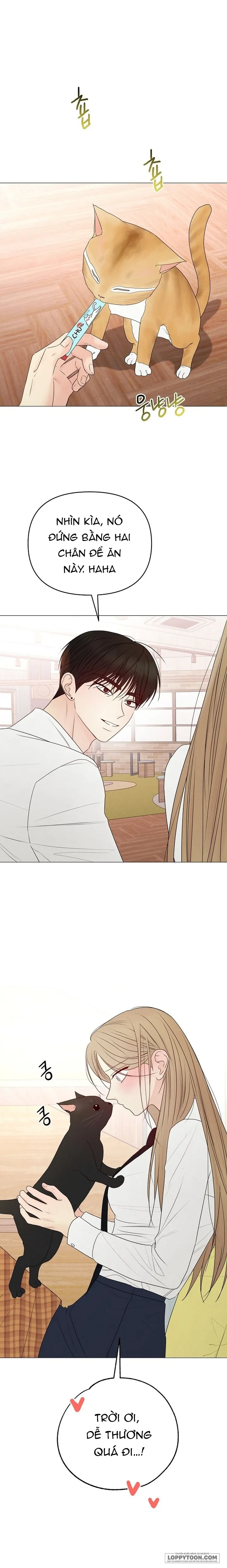 Soái Ca Kiểu Mẫu Chap 48 - trang 26