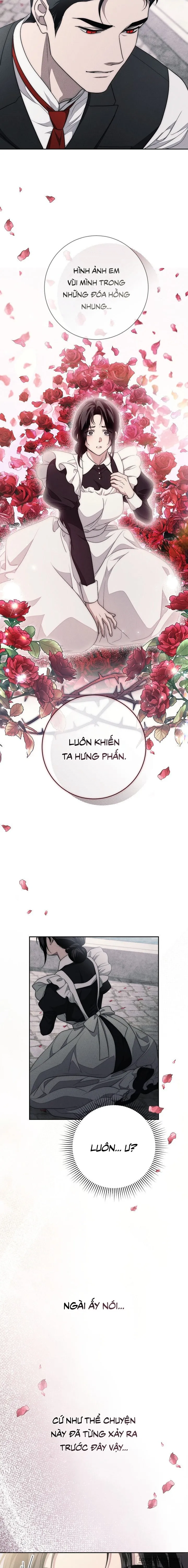 Mộ Thiên Nga Chap 17 - 🔞🔞🔞 - trang 14