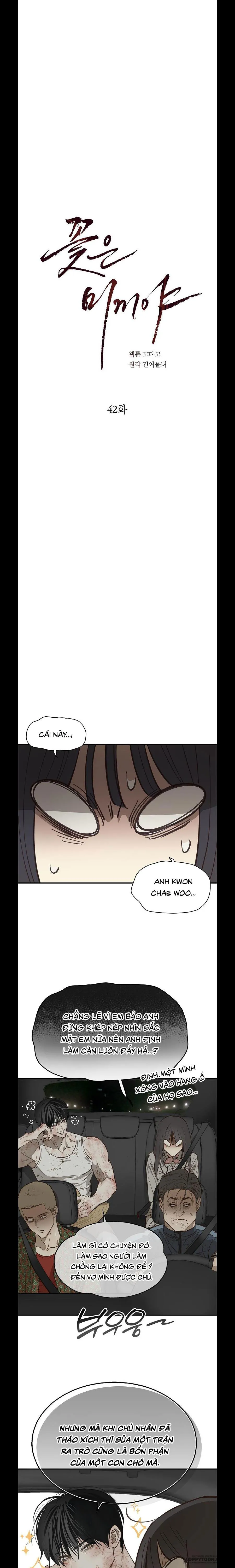 Đóa Hoa Là Mồi Nhử Chap 42 - trang 9