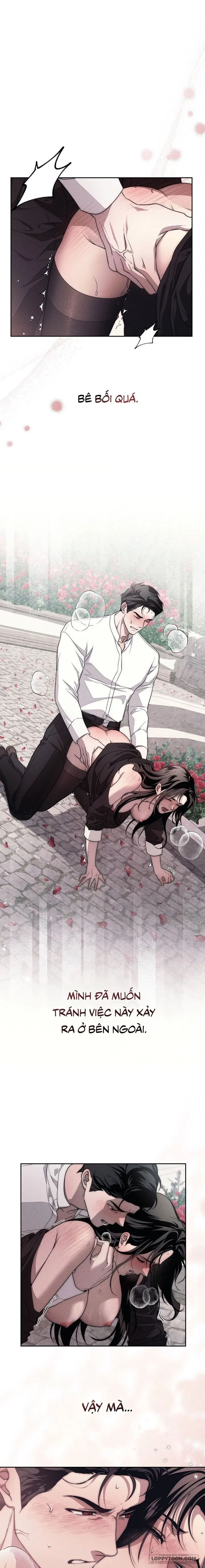 Mộ Thiên Nga Chap 18 - 🔞🔞🔞 - trang 1
