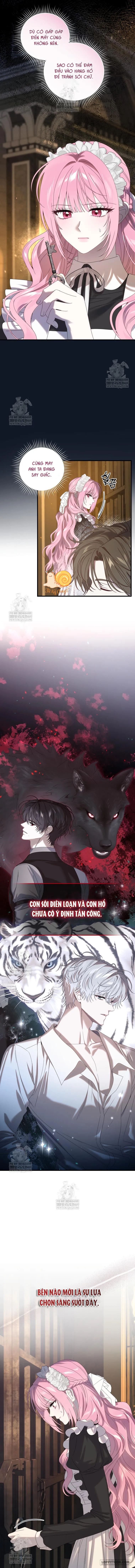 Kẻ Ám Ảnh Cuồng Tín Đang Cố Giam Cầm Tôi Chap 14 - trang 6