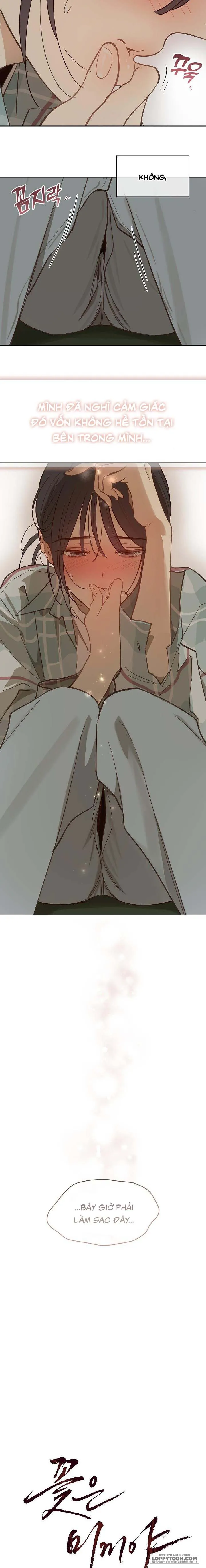 Đóa Hoa Là Mồi Nhử Chap 20 - trang 8