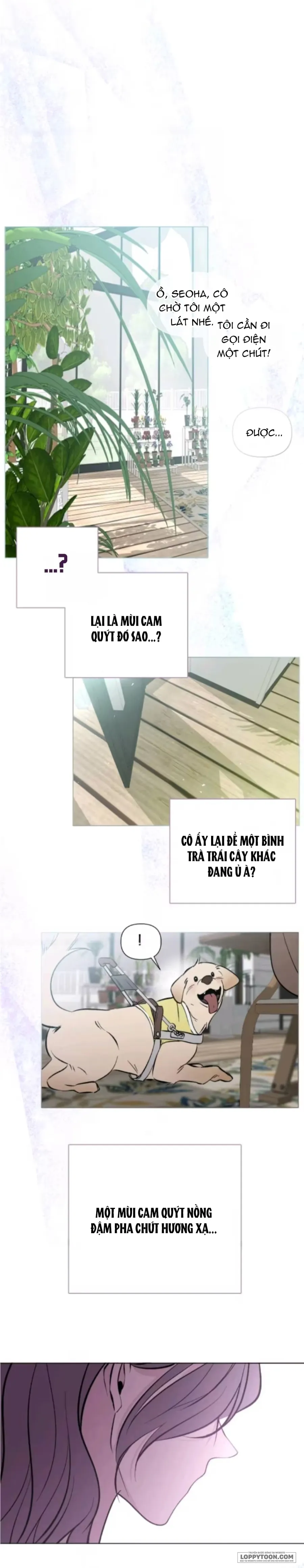 Cắn Xé Và Lừa Dối Chap 2 - trang 14