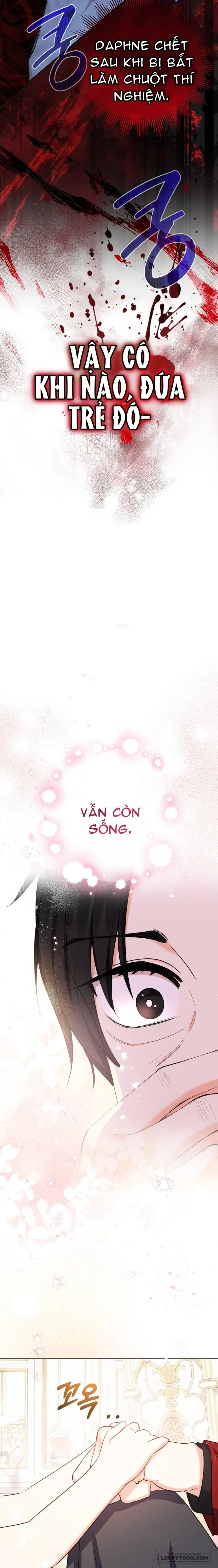 Tiểu Thư Tích Tiền Đi Bụi Chap 53 - trang 21
