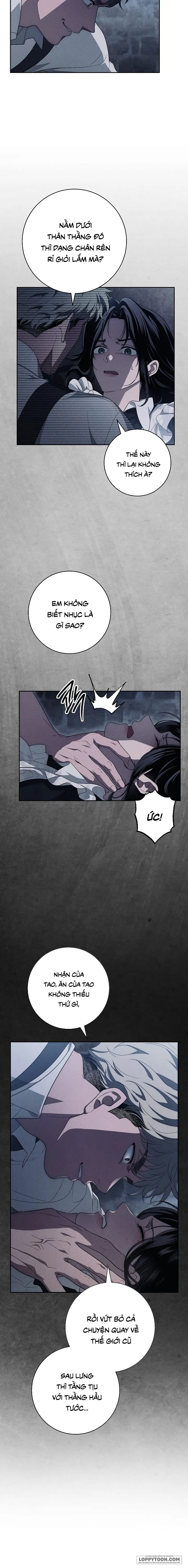 Mộ Thiên Nga Chap 20 - trang 11