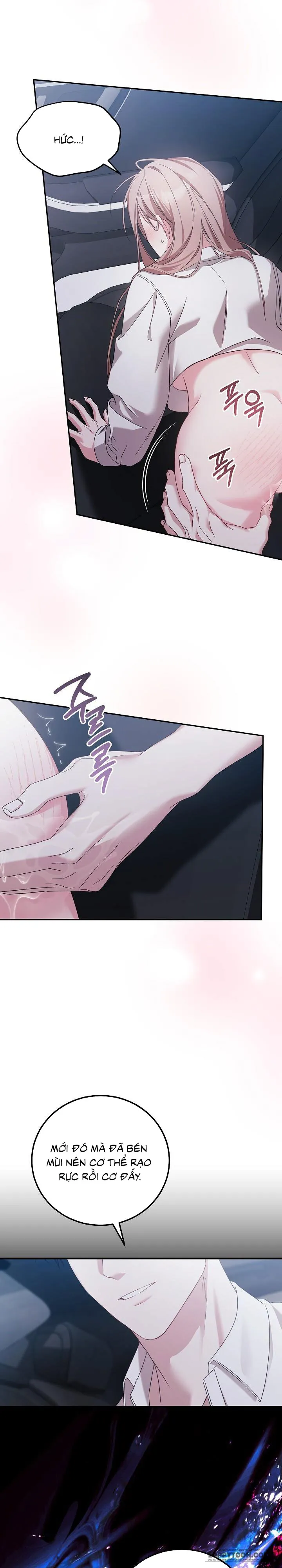 Sự Mang Thai Phục Tùng Chap 12 - 🔞🔞🔞 - trang 13