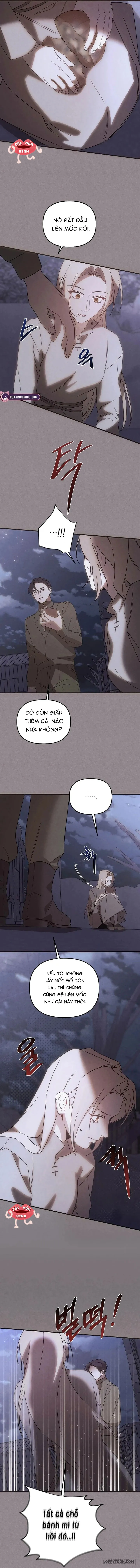 Nơi Đóa Hồng Vàng Úa Tàn Chap 28 - trang 8