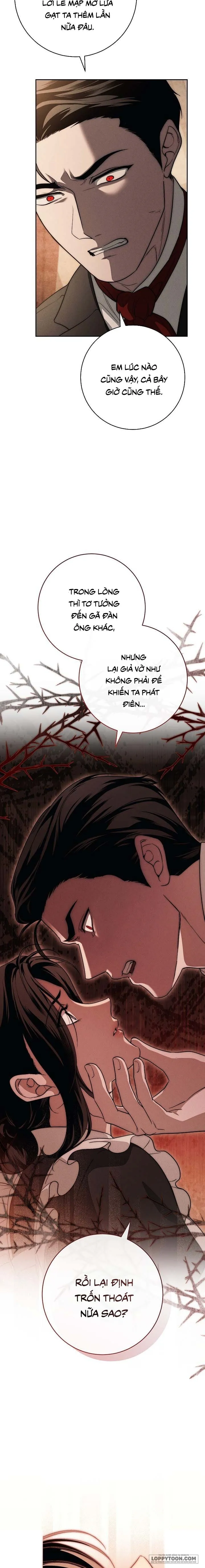 Mộ Thiên Nga Chap 24 - trang 11