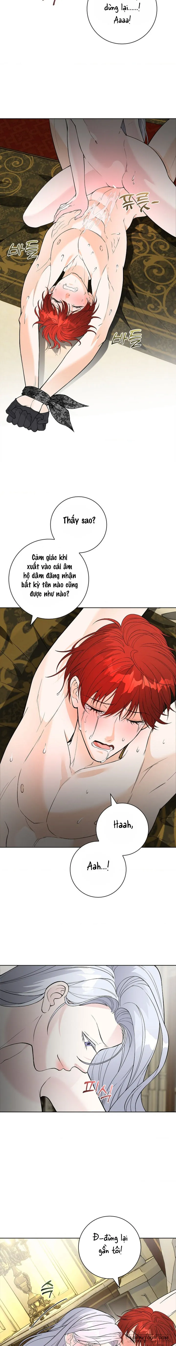 Cánh Hoa Ướt Đẫm Của Thánh Nữ Chap 12 - 🔞🔞🔞 - trang 10