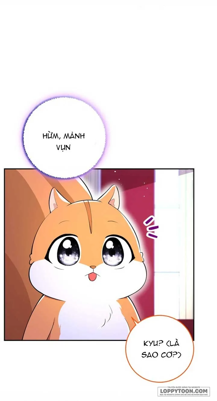 Sóc Con Tài Năng Chap 74 - trang 17