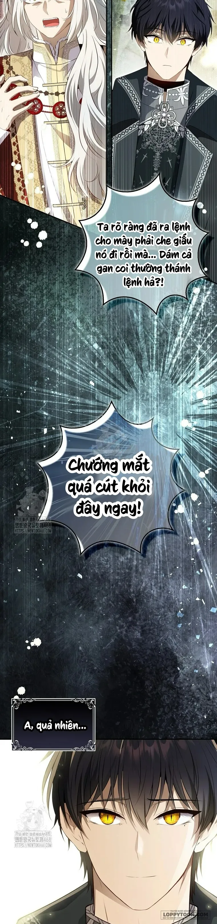 Sóc Con Tài Năng Chap 115 - trang 2