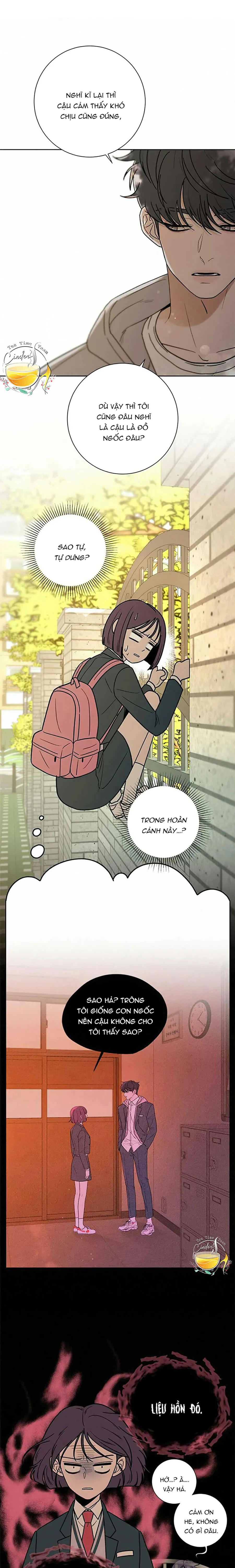 Chiến Lược Tình Yêu Trong Sáng Chap 8 - trang 5