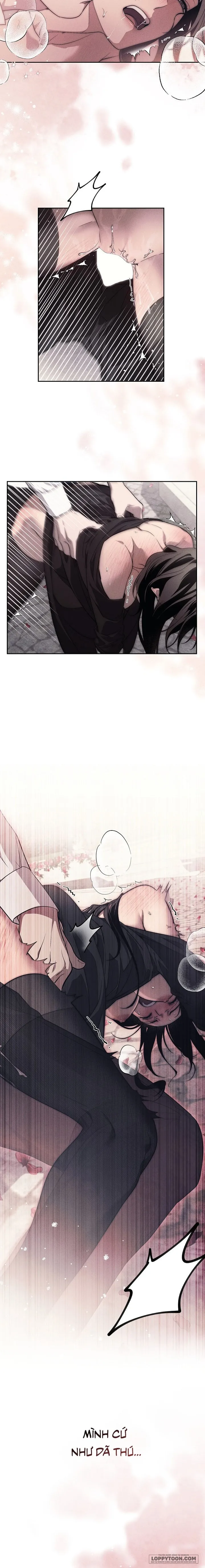 Mộ Thiên Nga Chap 18 - 🔞🔞🔞 - trang 2