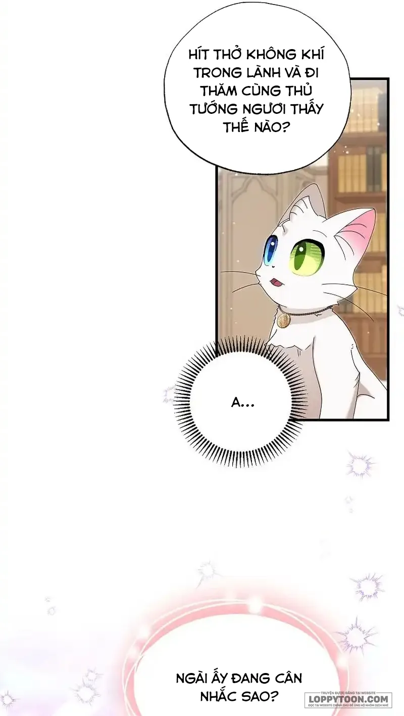 Trở Thành Miêu Nữ Của Hoàng Đế Chap 26 - trang 20