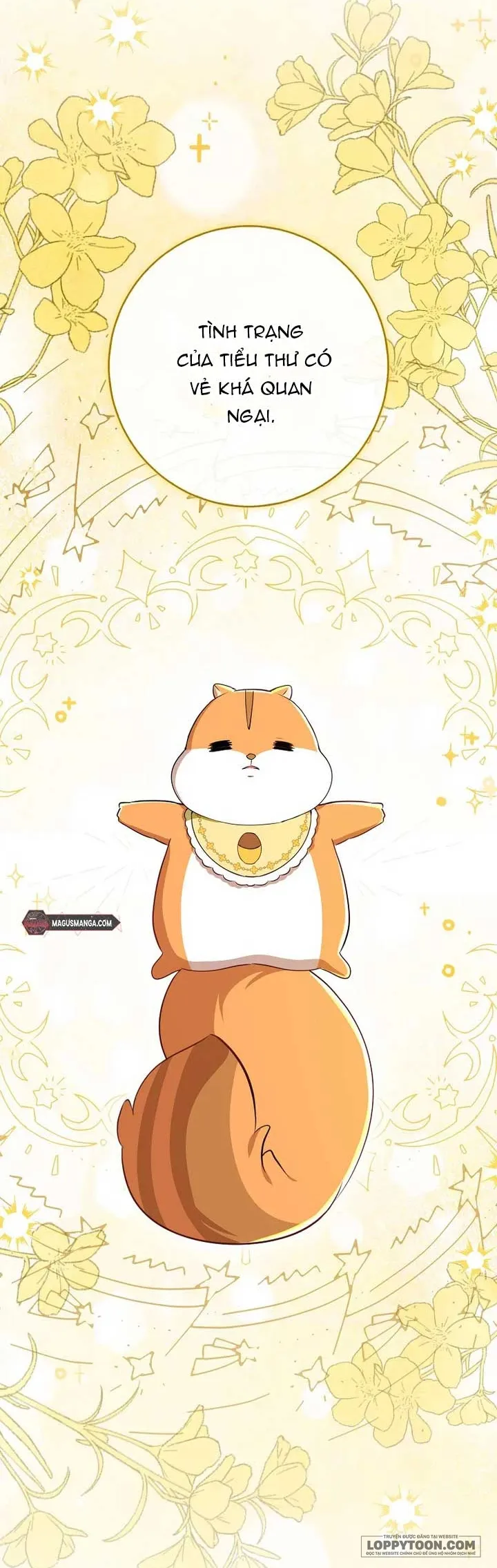 Sóc Con Tài Năng Chap 73 - trang 14