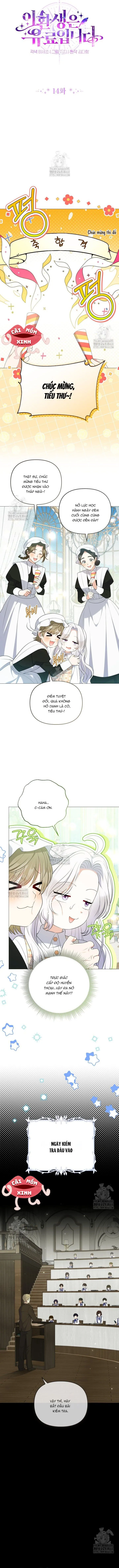 Cái Giá Của Tái Sinh Chap 14 - trang 2