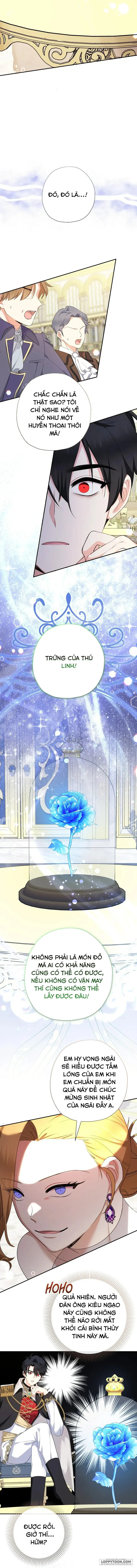Tiểu Thư Tích Tiền Đi Bụi Chap 74 - trang 5