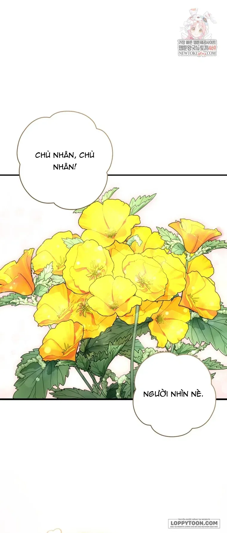 Cuộc Hôn Nhân Xa Hoa Của Đại Công Tước Là Giả Chap 114 - trang 1
