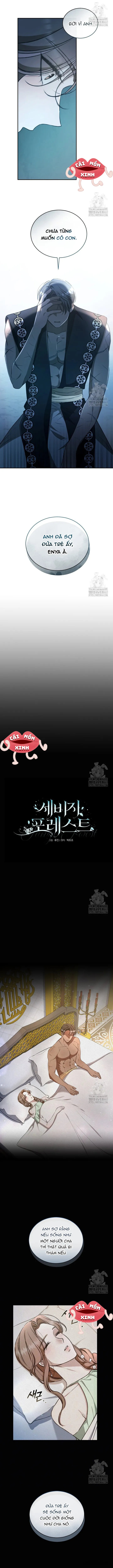 Khu Rừng Hoang Dã Chap 47 - trang 5
