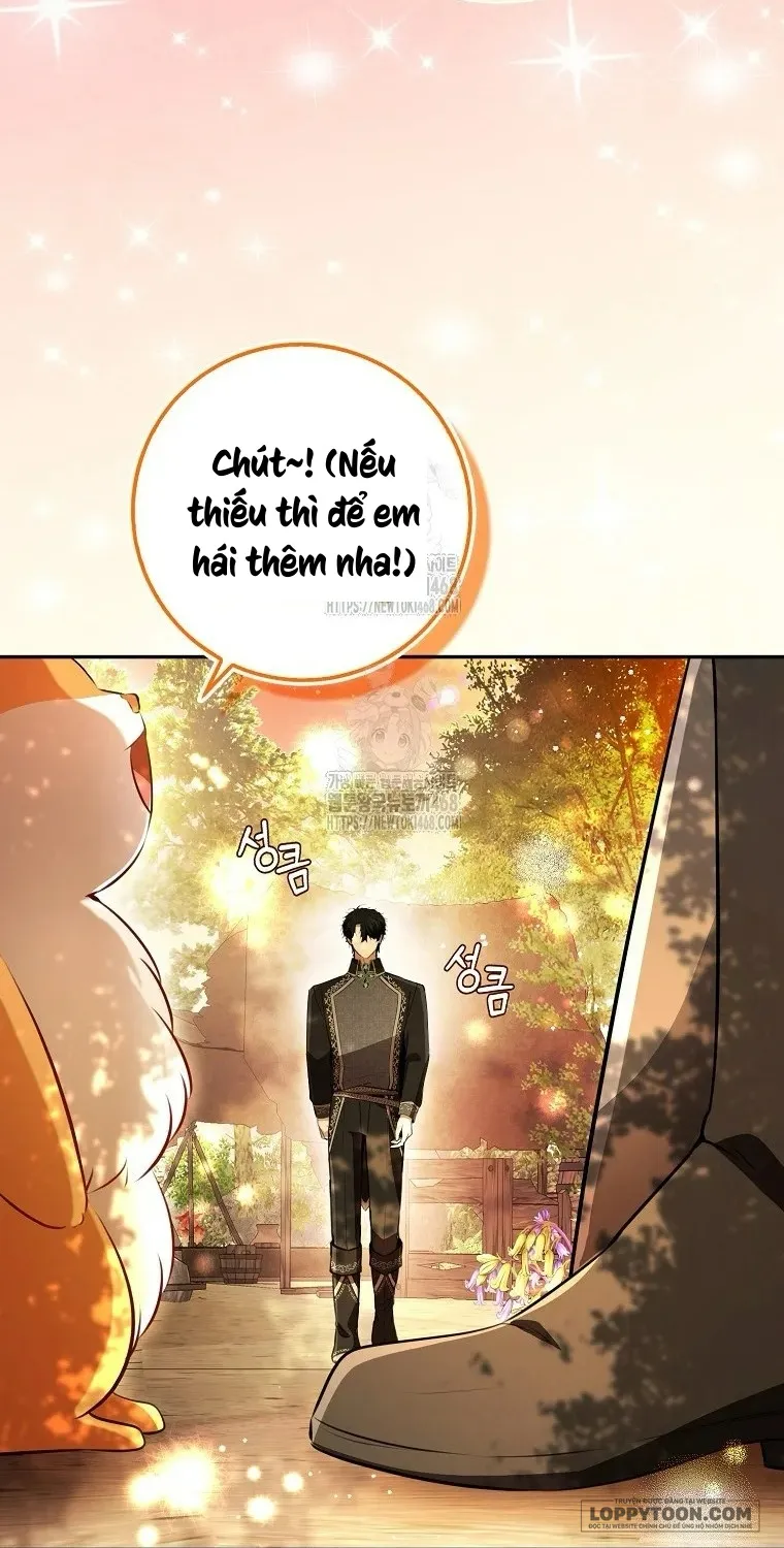 Sóc Con Tài Năng Chap 113 - trang 18