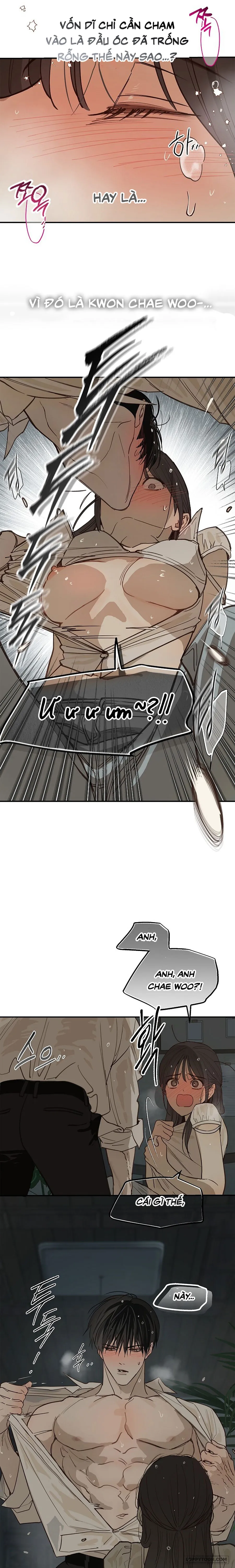 Đóa Hoa Là Mồi Nhử Chap 48 - 🔞🔞 - trang 4