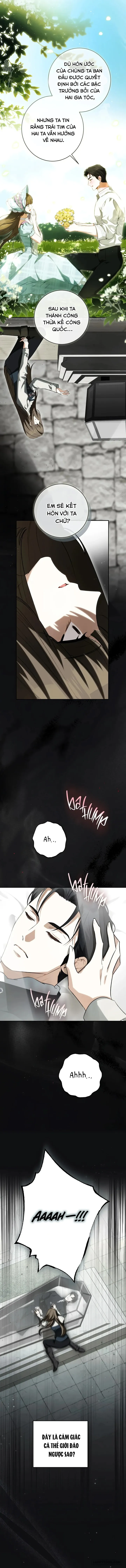 Hình Như Tôi Đã Xuyên Vào Cuốn Tiểu Thuyết Nào Đó Chap 79 - trang 11