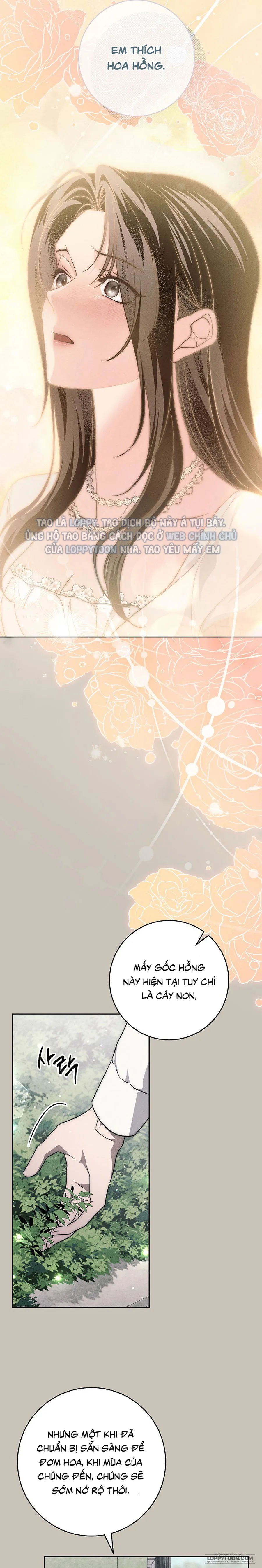 Mộ Thiên Nga Chap 44 - trang 22