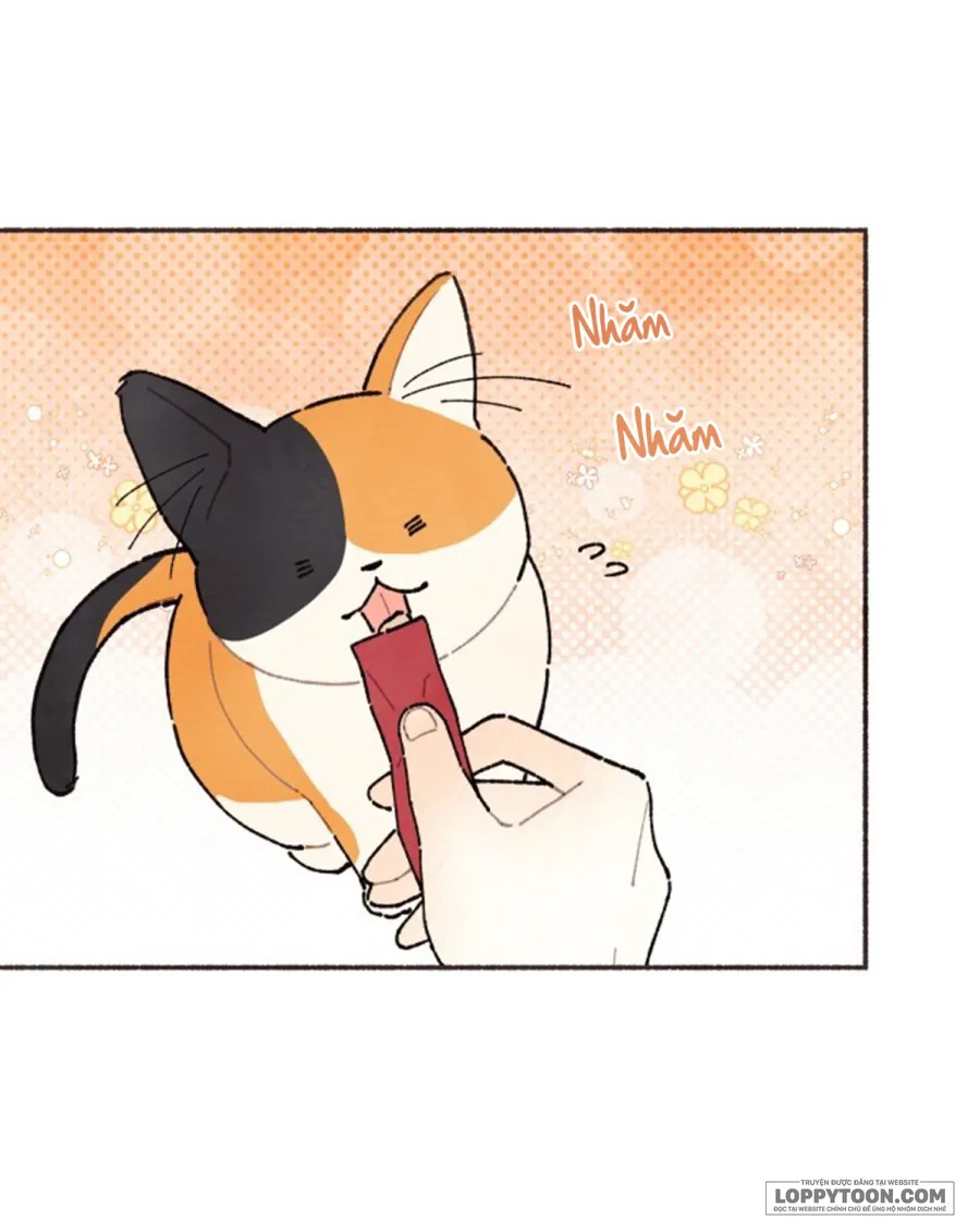 Cảm Xúc Chuyển Giao Chap 1 - trang 18
