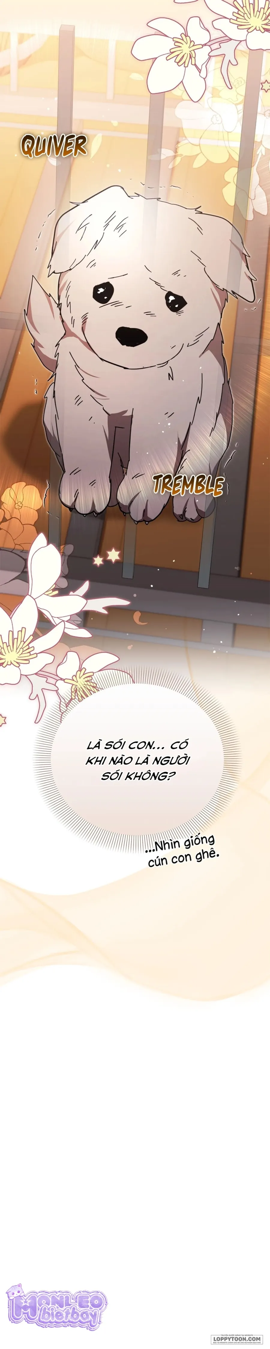 Con Đường Hoa Dành Cho Nam Chính Chap 31 - trang 20