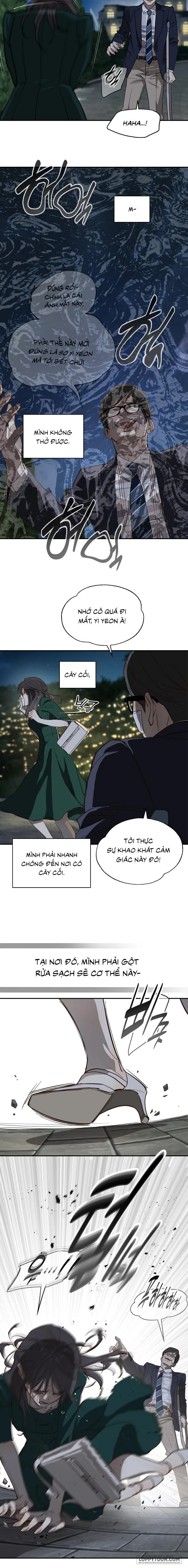 Đóa Hoa Là Mồi Nhử Chap 35 - trang 7