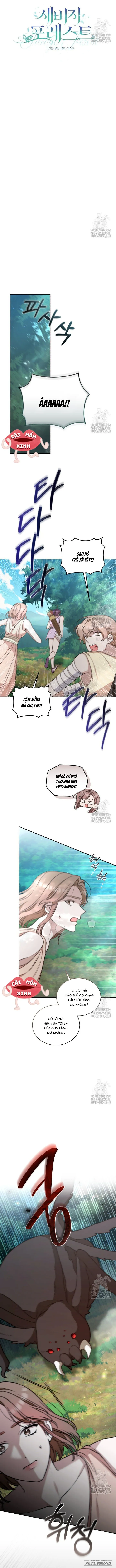 Khu Rừng Hoang Dã Chap 39 - trang 3