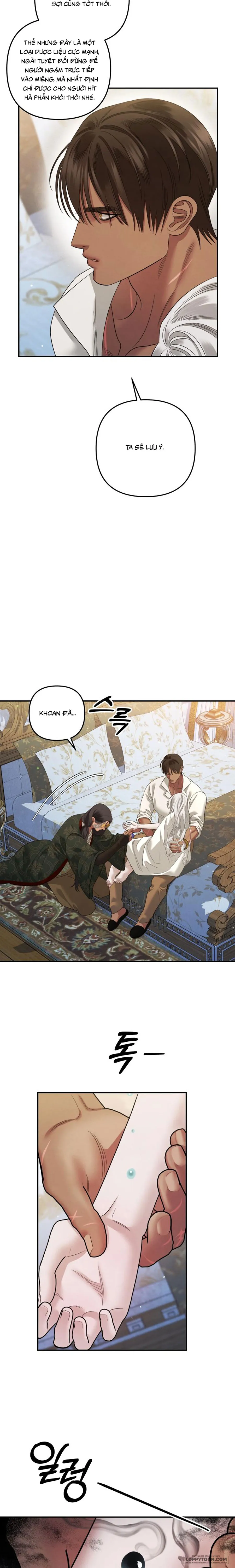 Cuộc Hôn Nhân Bị Cướp Đoạt Chap 48 - trang 9