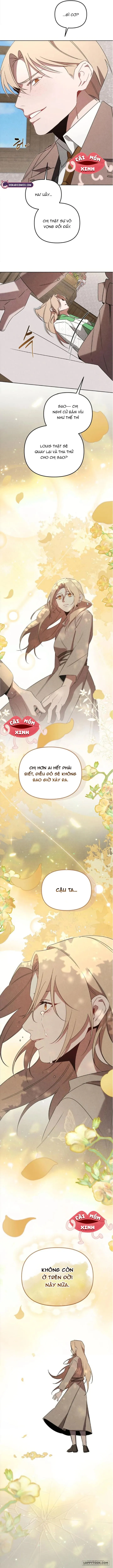 Nơi Đóa Hồng Vàng Úa Tàn Chap 18 - trang 11