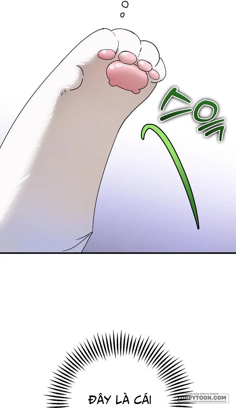 Trở Thành Miêu Nữ Của Hoàng Đế Chap 21 - trang 17